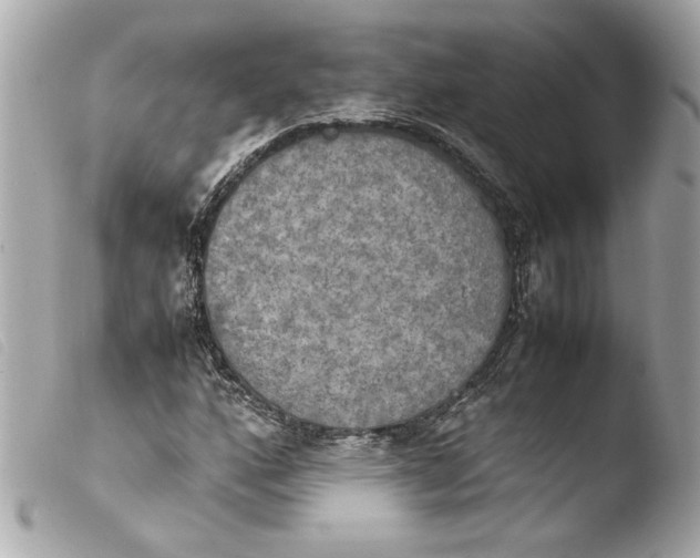 X0000103901160200810031142