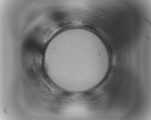 X0000103901161200810031142