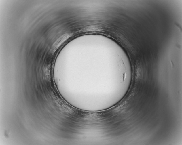 X0000103901162200810031142