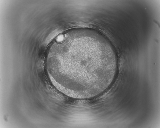 X0000103901163200810031142