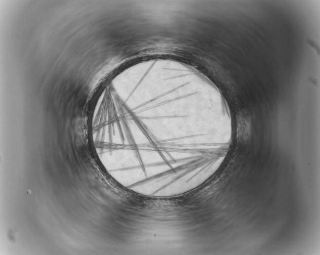 X0000103901164200810031142