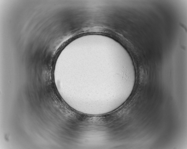 X0000103901166200810031142