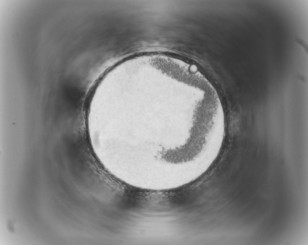 X0000103901167200810031142