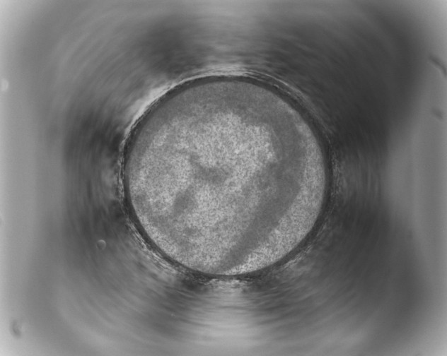 X0000103901168200810031142