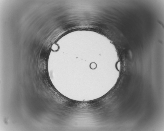 X0000103901169200810031142