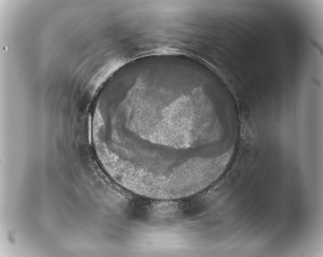 X0000103901171200810031142