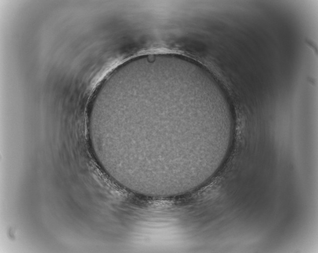 X0000103901173200810031142