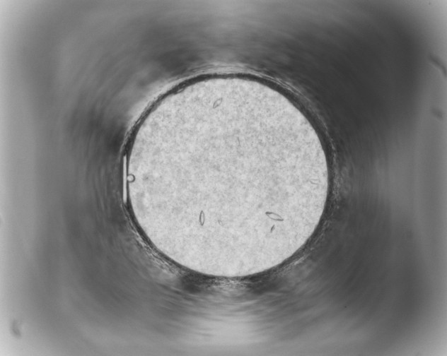 X0000103901175200810031142