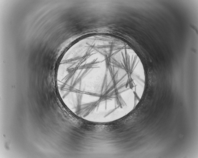 X0000103901176200810031142