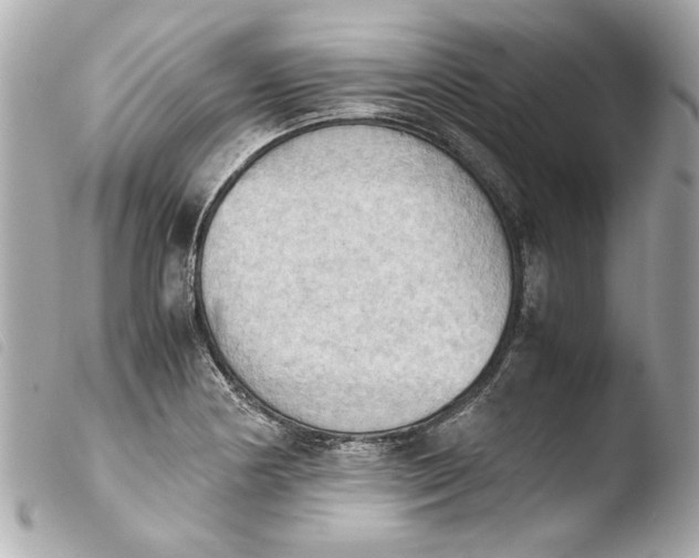 X0000103901178200810031142