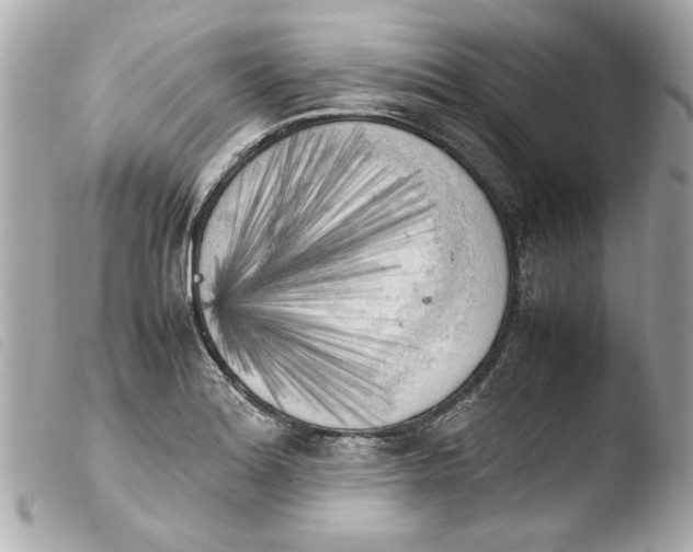 X0000103901180200810031142