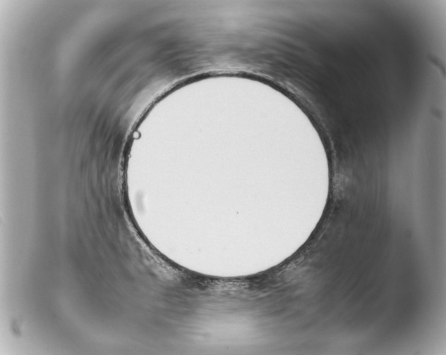 X0000103901183200810031142