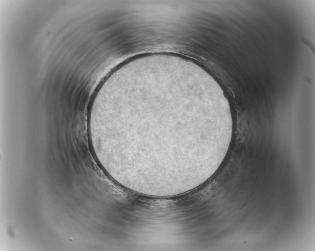 X0000103901184200810031142