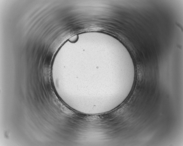 X0000103901186200810031142