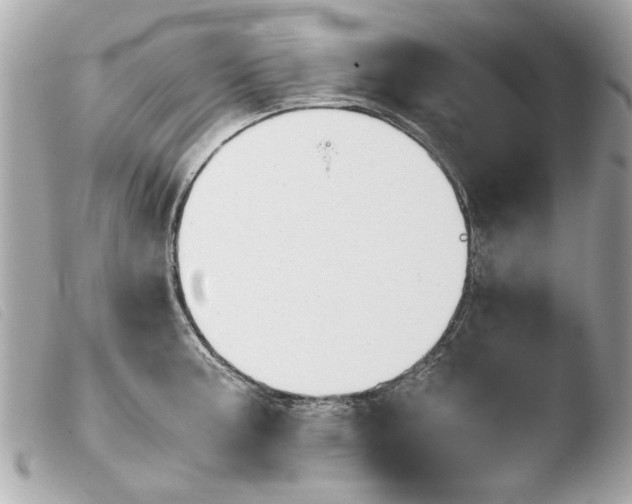 X0000103901187200810031142