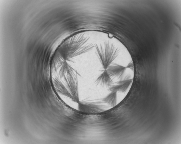 X0000103901188200810031142