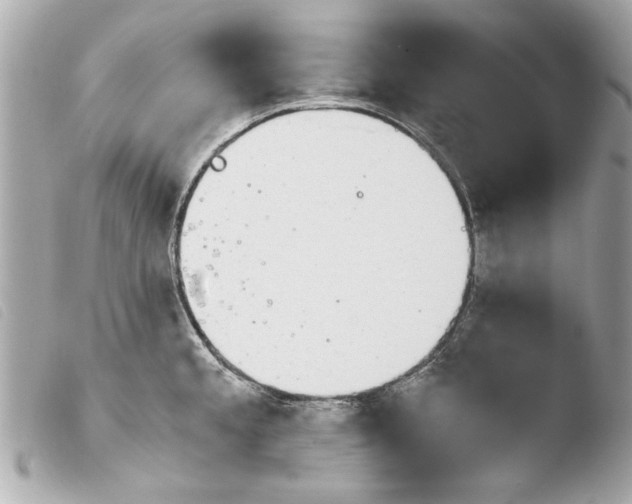 X0000103901189200810031142