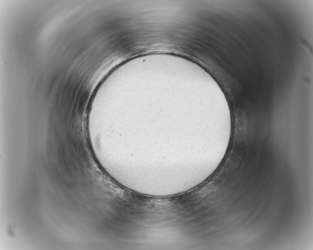 X0000103901190200810031142