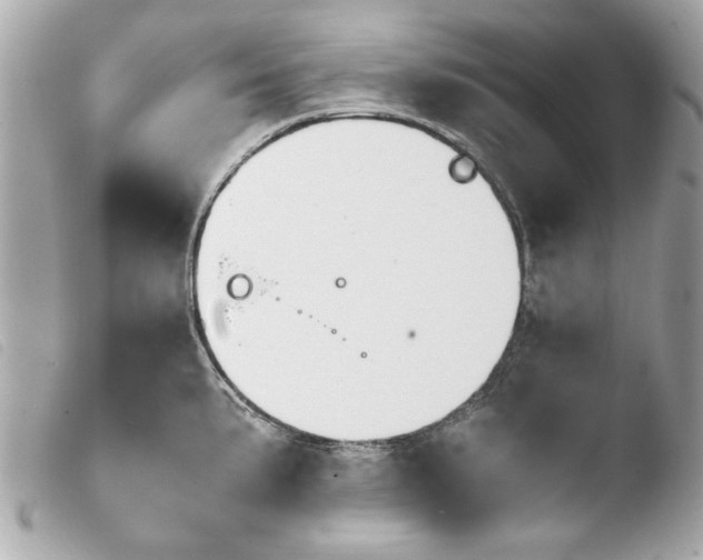 X0000103901191200810031142