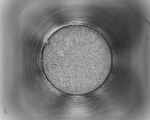 X0000103901192200810031142