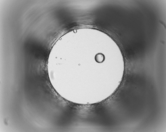 X0000103901193200810031142