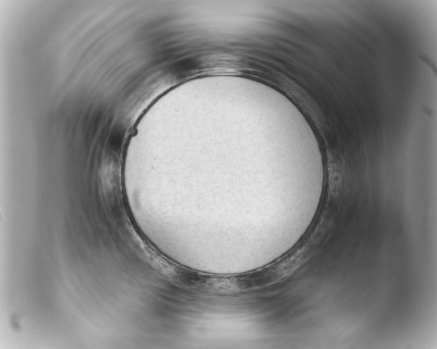 X0000103901194200810031142