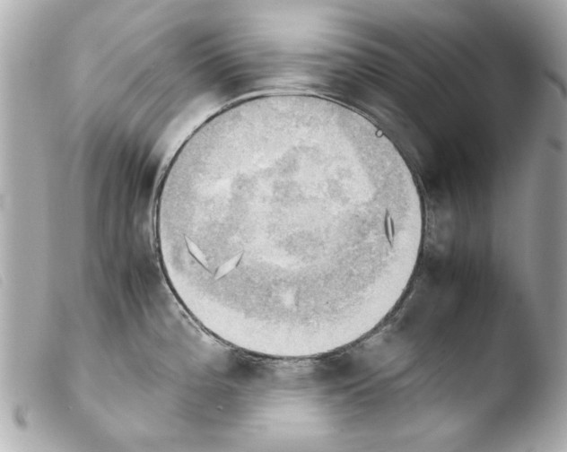 X0000103901196200810031142