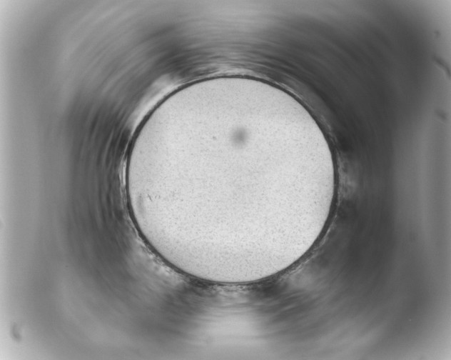 X0000103901198200810031141