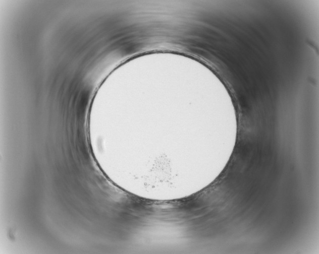 X0000103901199200810031141