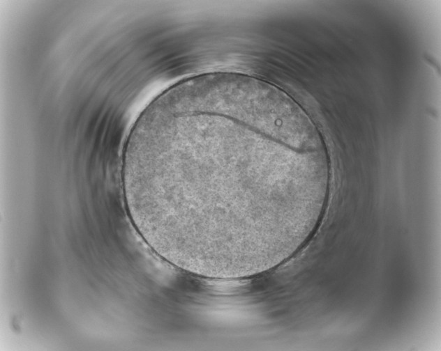 X0000103901200200810031141