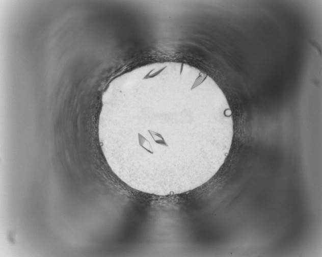 X0000103901201200810031141