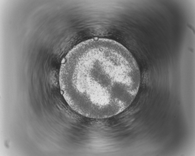 X0000103901202200810031141