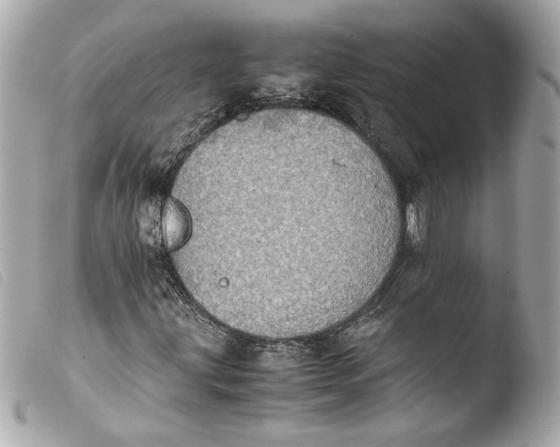 X0000103901203200810031141