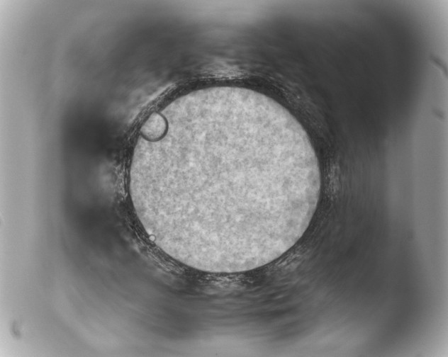 X0000103901205200810031141