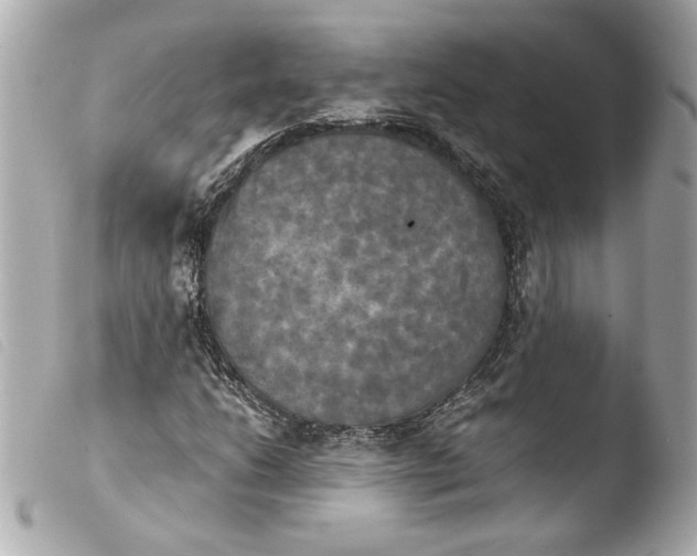 X0000103901206200810031141