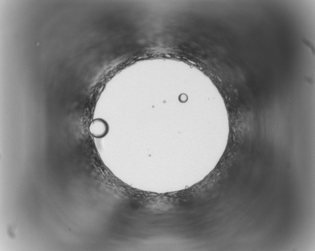 X0000103901207200810031141