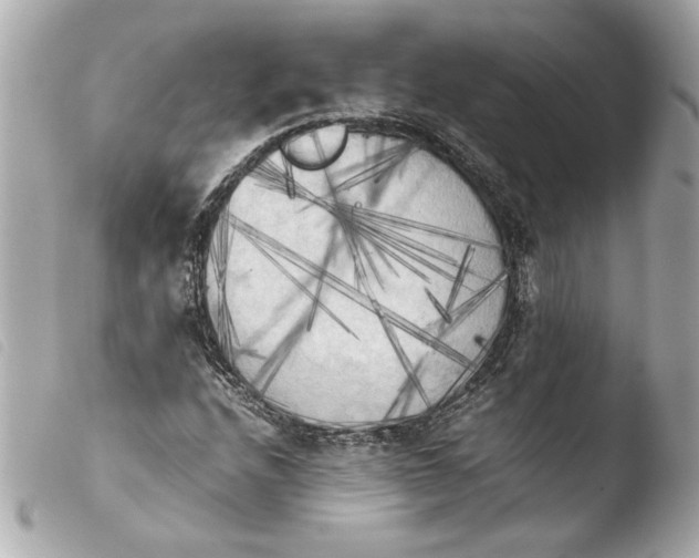 X0000103901208200810031141