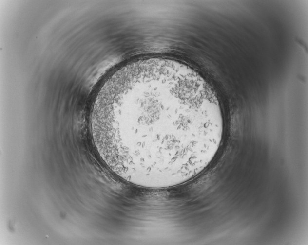 X0000103901210200810031141