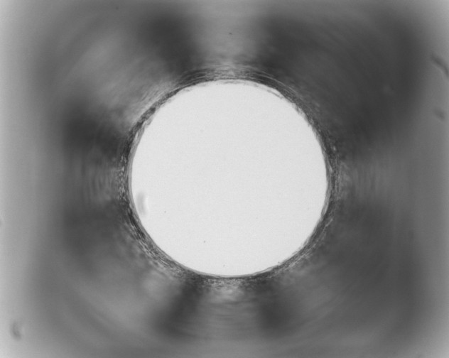 X0000103901211200810031141