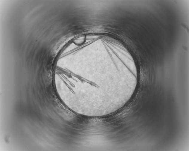 X0000103901212200810031141