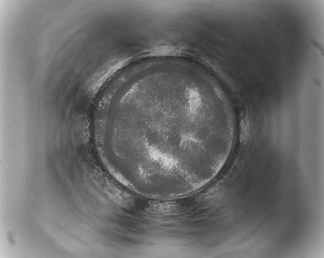 X0000103901213200810031141