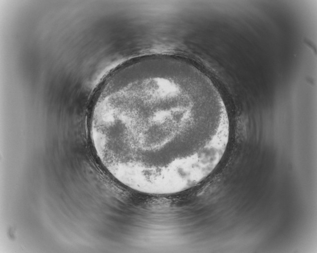 X0000103901214200810031141