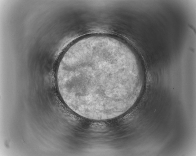 X0000103901215200810031141