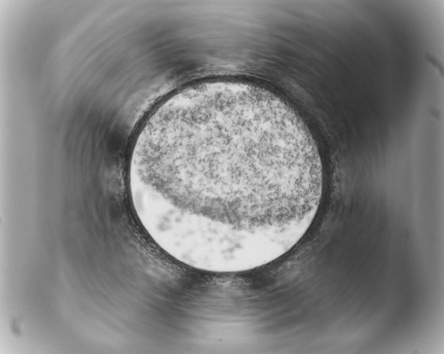 X0000103901218200810031141