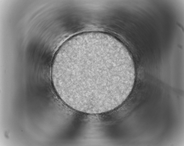 X0000103901220200810031141