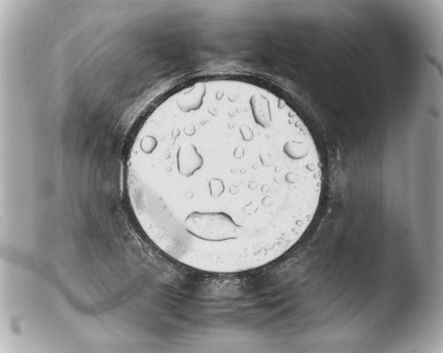 X0000103901221200810031141