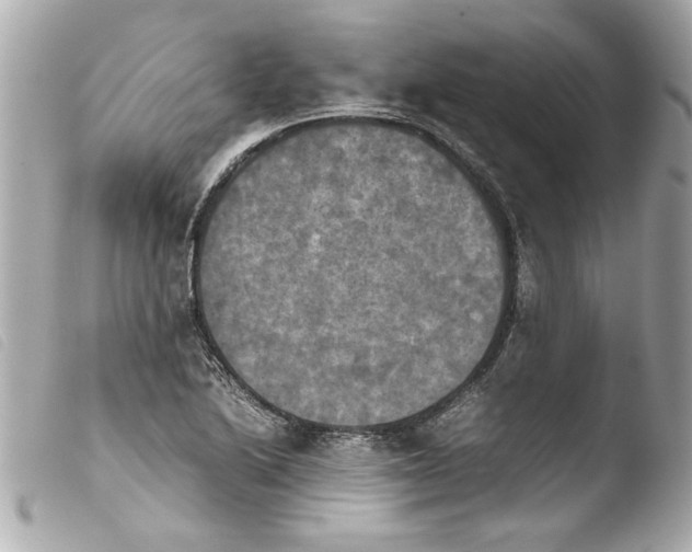 X0000103901222200810031141