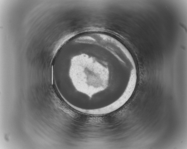 X0000103901223200810031141