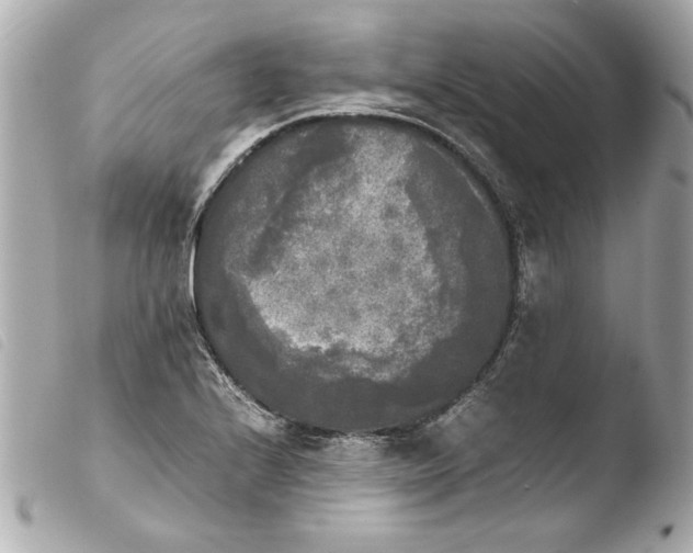 X0000103901224200810031141