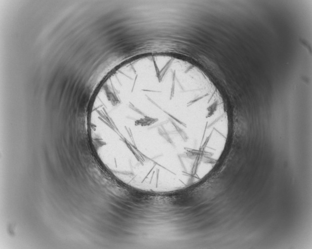 X0000103901226200810031141